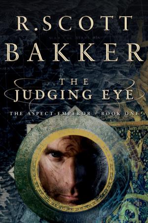 Cover of the book The Judging Eye by Penny Vincenzi