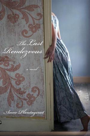 Cover of the book The Last Rendezvous by Lewis Kirts