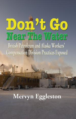 Cover of the book Don't Go Near The Water by Christy Lowry