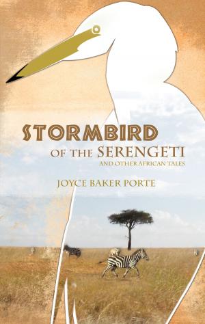 bigCover of the book Stormbird of the Serengeti by 