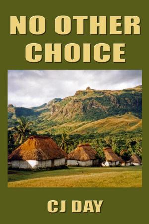 Cover of the book No Other Choice by Darren T. Patrick