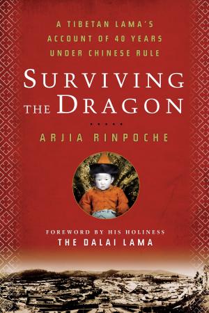 Cover of the book Surviving the Dragon by Darren Littlejohn