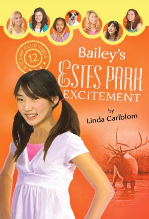 Book cover of Bailey's Estes Park Excitement