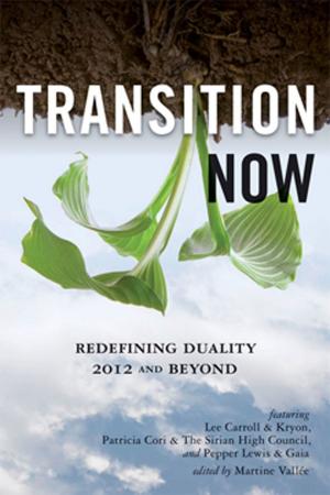 Cover of the book Transition Now by Patrick Alain