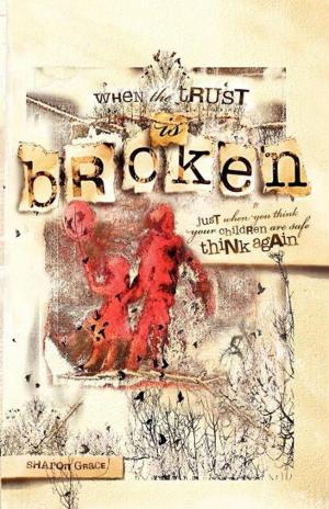Cover of the book When the Trust is Broken by Joel Comm
