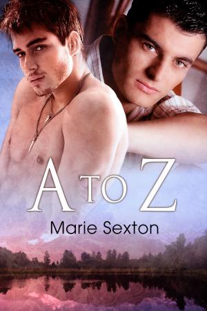 Cover of the book A to Z by Tray Ellis
