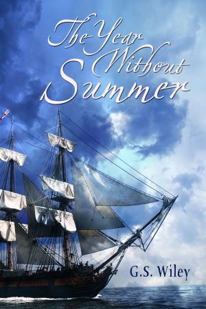 Cover of the book The Year Without Summer by Kim Fielding