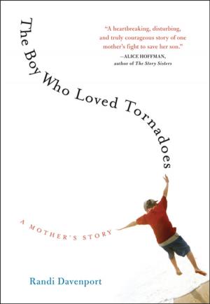 Cover of the book The Boy Who Loved Tornadoes by Andrew Roe