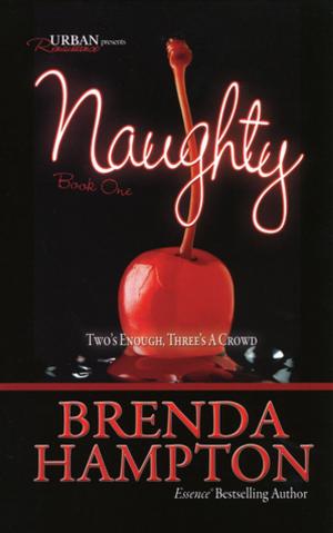 Cover of the book Naughty: by Johnna B