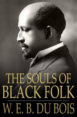 Cover of the book The Souls of Black Folk: Essays and Sketches by Randal J. Junior