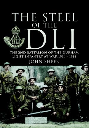 Book cover of Steel of the DLI (2nd Bn 1914/18)