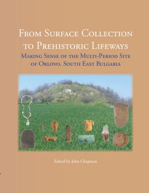 Cover of the book From Surface Collection to Prehistoric Lifeways by Meredith Ellis