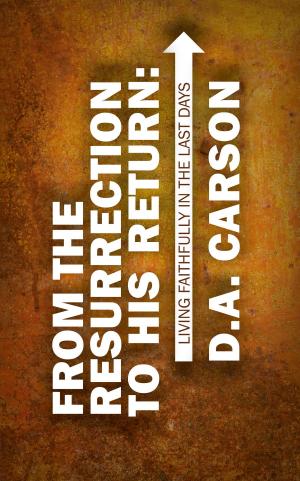 Book cover of From the Resurrection to His Return
