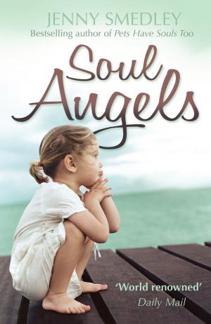 Cover of the book Soul Angels by Jorge Cruise
