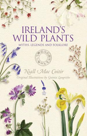 Book cover of Irish Wild Plants – Myths, Legends & Folklore