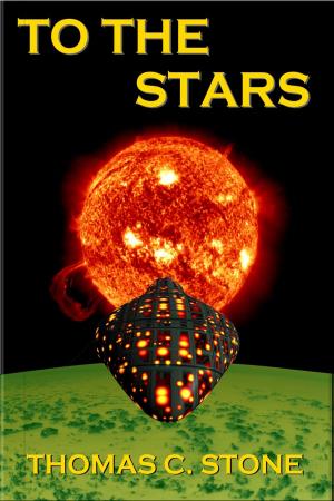 Cover of the book To The Stars by Faye Hollidaye