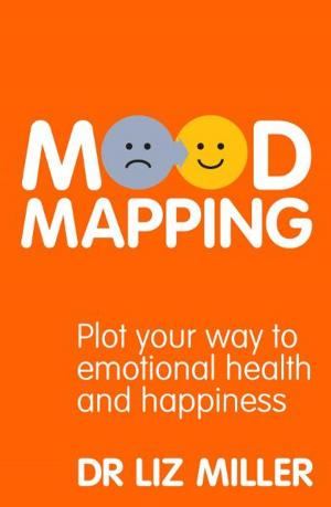 Cover of the book Mood Mapping by Mary Hocking