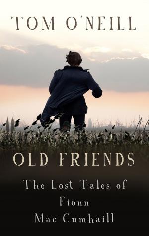 Cover of the book Old Friends by Siobhan Parkinson