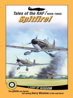 bigCover of the book Tales of the RAF: Spitfire! by 