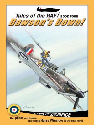 Cover of the book Tales of the RAF: Dawson's Down! by MaryLu Tyndall