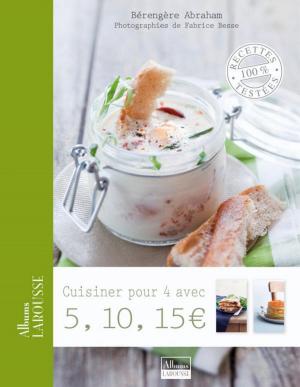 Cover of the book Cuisiner pour 4 avec 5,10,15 euros by Géraldine Olivo