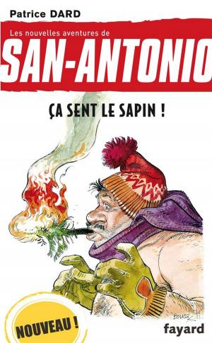 Cover of the book Ça sent le sapin ! by Caoilinn Hughes