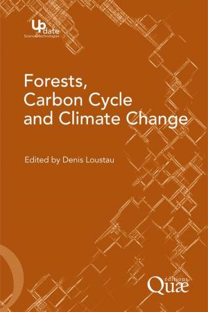 Cover of the book Forests, Carbon Cycle and Climate Change by Paul Pesson, Jean Louveaux