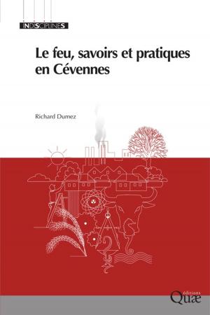 Cover of the book Le feu, savoirs et pratiques en Cévennes by Marc Barbier, Céline Granjou