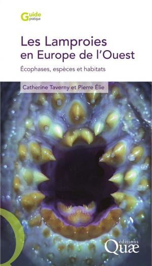 Cover of the book Les lamproies en Europe de l'Ouest by Éric Sabourin, Patrick Caron