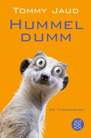 Cover of the book Hummeldumm by Sandra Lüpkes