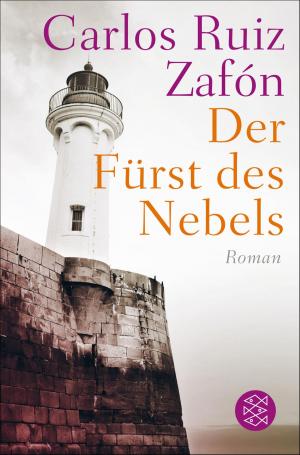 Cover of the book Der Fürst des Nebels by Slavoj Žižek