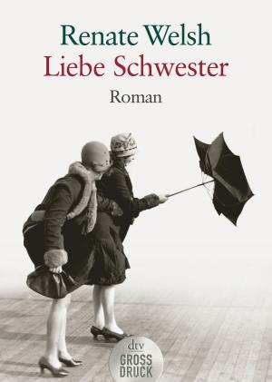 Book cover of Liebe Schwester