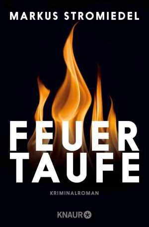 Book cover of Feuertaufe