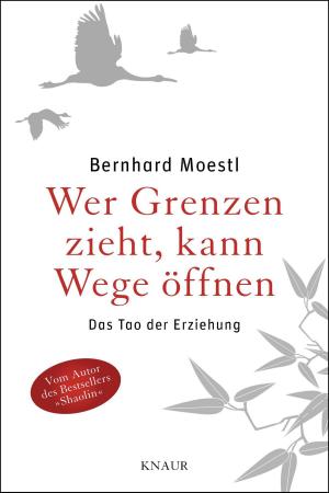 Cover of the book Das Shaolin-Buch für Eltern by Marie Cristen