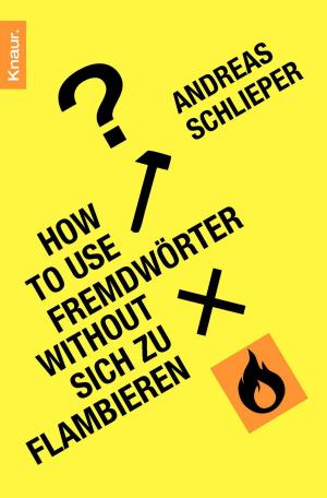 Cover of the book How to use Fremdwörter without sich zu flambieren by Salvatore Uccheddu