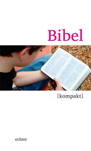 Cover of the book Bibel kompakt by Hildegard Wustmans, Verlag Echter