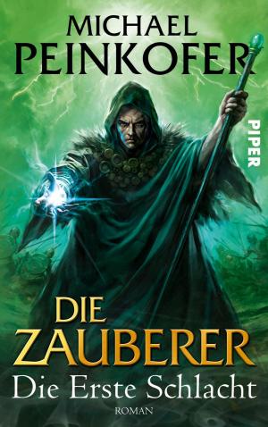Cover of the book Die Zauberer by Philippa Ballantine