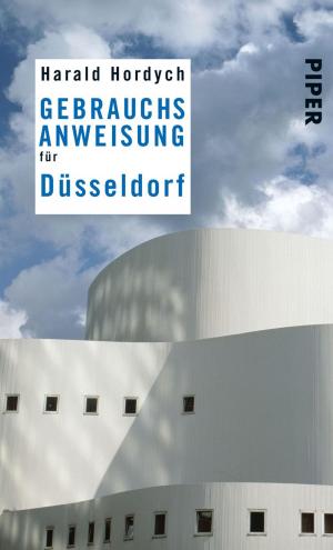 Book cover of Gebrauchsanweisung für Düsseldorf