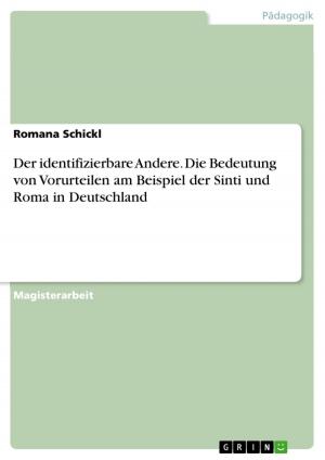 Cover of the book Der identifizierbare Andere. Die Bedeutung von Vorurteilen am Beispiel der Sinti und Roma in Deutschland by Winni Winter