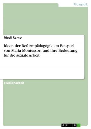 Book cover of Ideen der Reformpädagogik am Beispiel von Maria Montessori und ihre Bedeutung für die soziale Arbeit