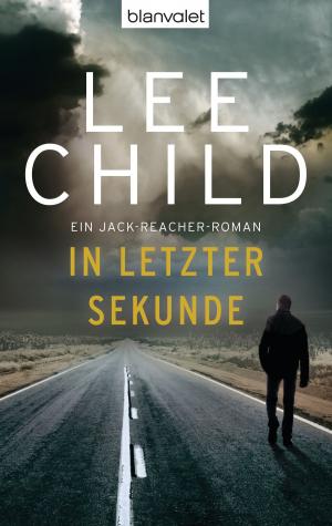 Cover of the book In letzter Sekunde by Susan Rau Stocker