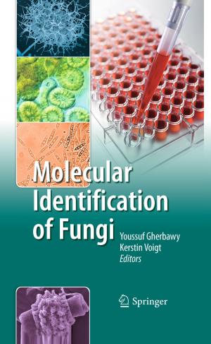 Cover of the book Molecular Identification of Fungi by 