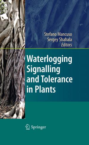 Cover of the book Waterlogging Signalling and Tolerance in Plants by Robert Stieglitz, Volker Heinzel