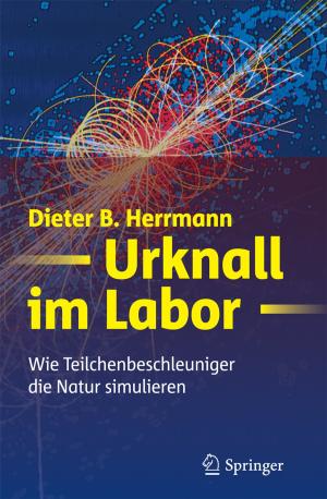 Cover of the book Urknall im Labor by Thomas Richter, Thomas Wick