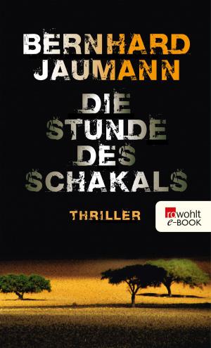 Cover of the book Die Stunde des Schakals by Thomas Arzt