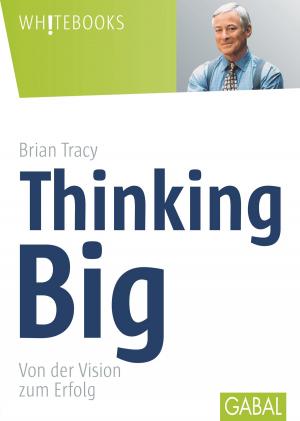 Cover of the book Thinking Big by Steven Reiss