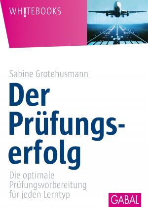 Cover of the book Der Prüfungserfolg by Martin-Niels Däfler