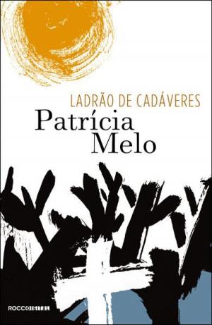 Cover of the book Ladrão de cadáveres by Nilton Bonder