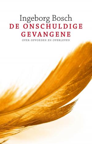 Cover of the book De onschuldige gevangene by P.F. Thomése