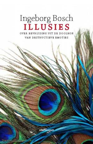 Cover of the book Illusies by Hylke Speerstra